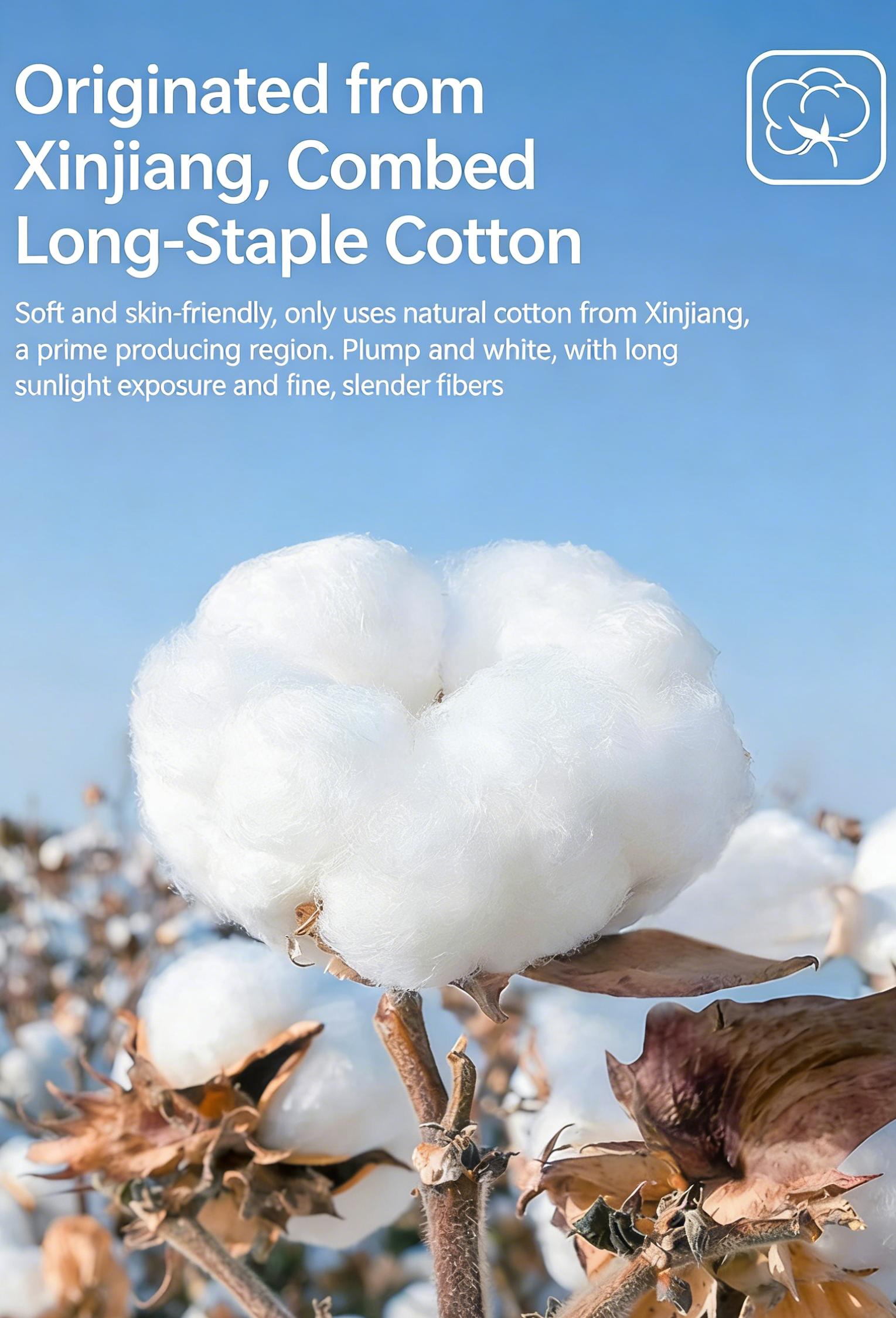 4 Pacs Oversized Tshirts Water-resistant washable cotton sports shirt