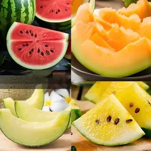 Fruit Seeds for Planting Home Garden 5 Variety Packs - Hales Best Cantaloupe, Crimson Sweet Watermelon, Yellow Canary Melon, Green Flesh Honeydew Melon, Sugar Baby Watermelon    JB16