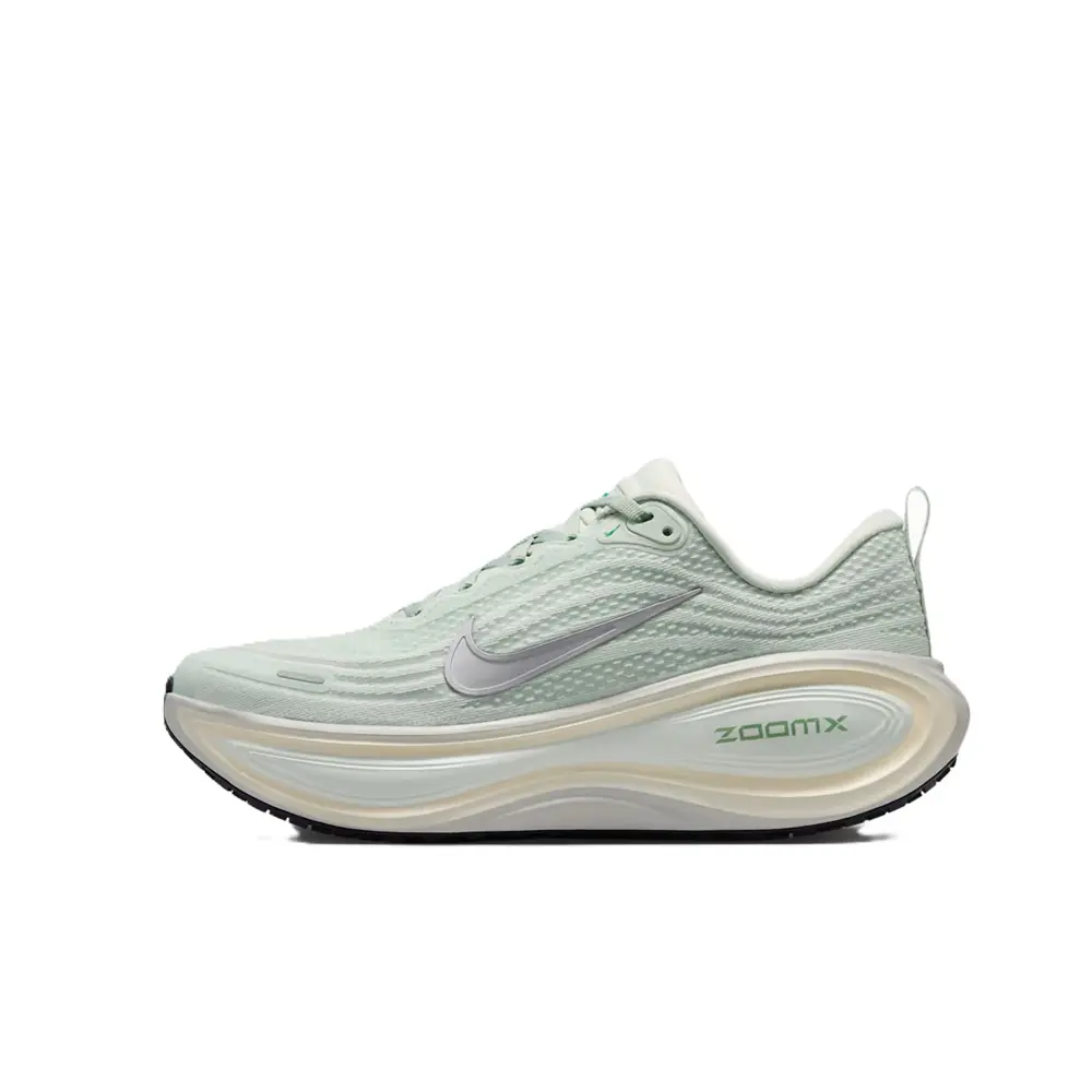 Women's Nike Vomero Plus Light Silver/Metallic Silver (HV8154 004)