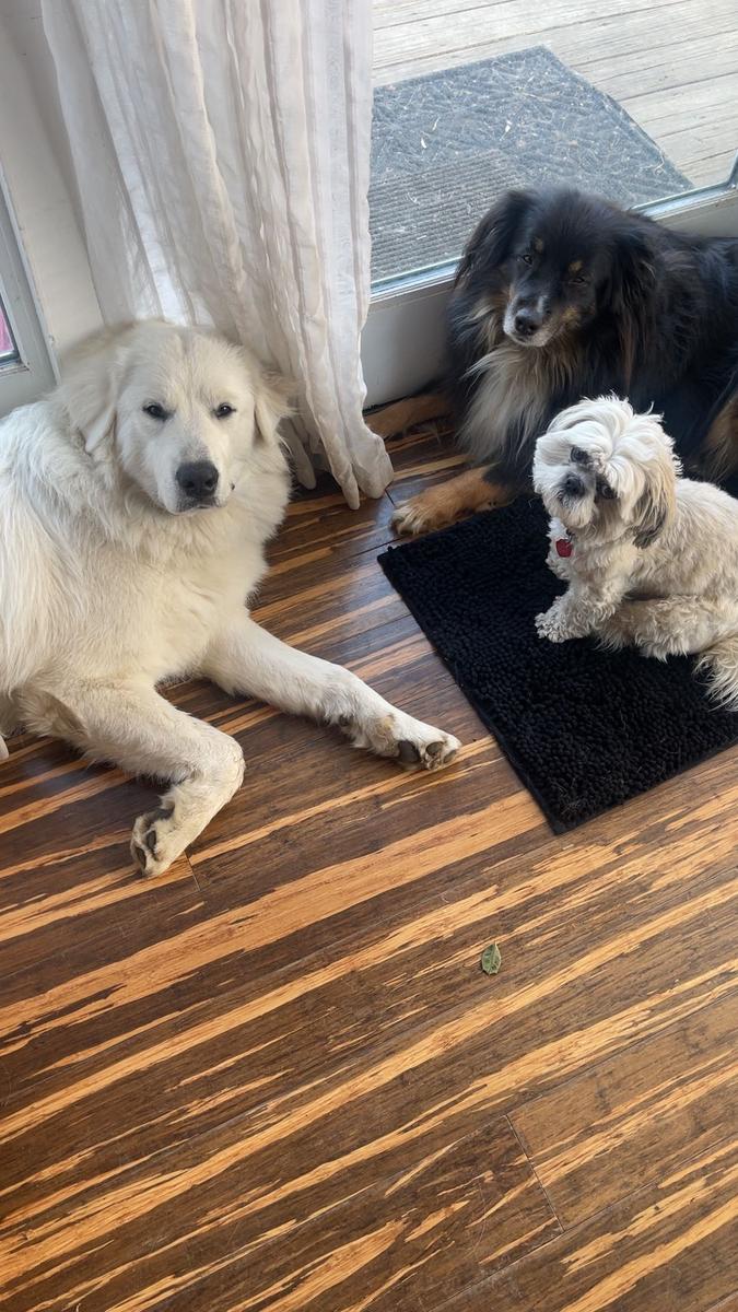 Item: Black, Medium Mat - 19" x 30"