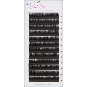 L Curl Lashes