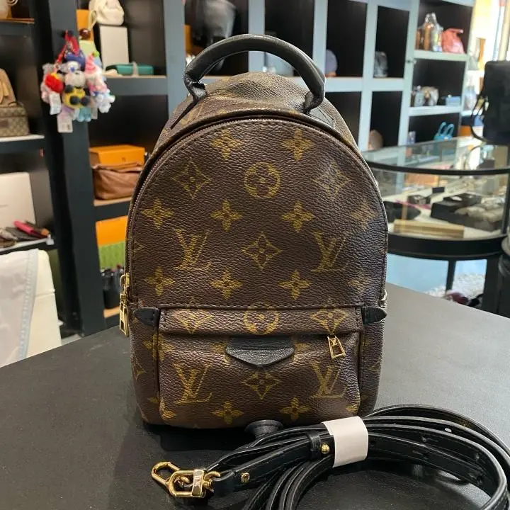 Pre-owned Louis Vuitton Backpack XH376