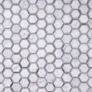 Carrara White Phantom Hex with Blue Marble Polished/Honed Sample