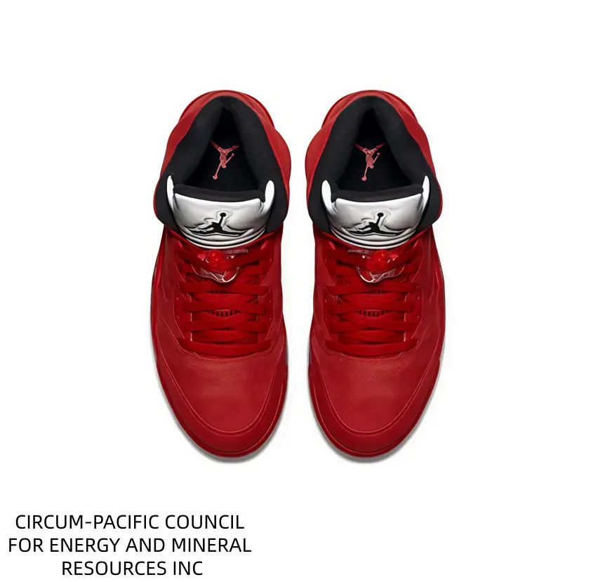 Streamlined High Cut Lifestyle Shoes, Convenient Footwear for Casual Sports and Daily Errands