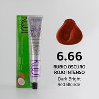 6.66 - Dark Bright Red Blonde