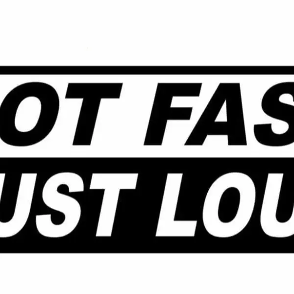 Fast Not Loud Car Decal, Racing Inspired Vinyl Sticker, Performance Graphic