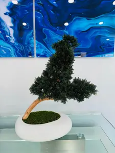 BONSAI PINE TREE Realistic Artificial Bonsai in Real Wood 19" Long x 11" High x 10" Wide Decorative Plant for Living Rooms & Offices