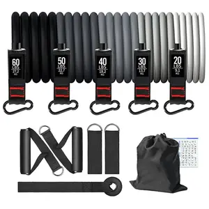 Resistance Bands Set for Working Out,200lbs Resistance Bands with Handles,Exercise Bands with Door Anchor, Carry Bag, Legs Ankle Straps for Physical Therapy, Home Workouts