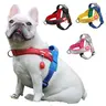 No Choke Y-Shaped Durable Reflective Dog Harness - Detachable Constriction-Free Vest, Soft Breathable Quick-Drying Machine Wash Fabric, Fit for Small/Medium Dogs, Harnesses & Leads