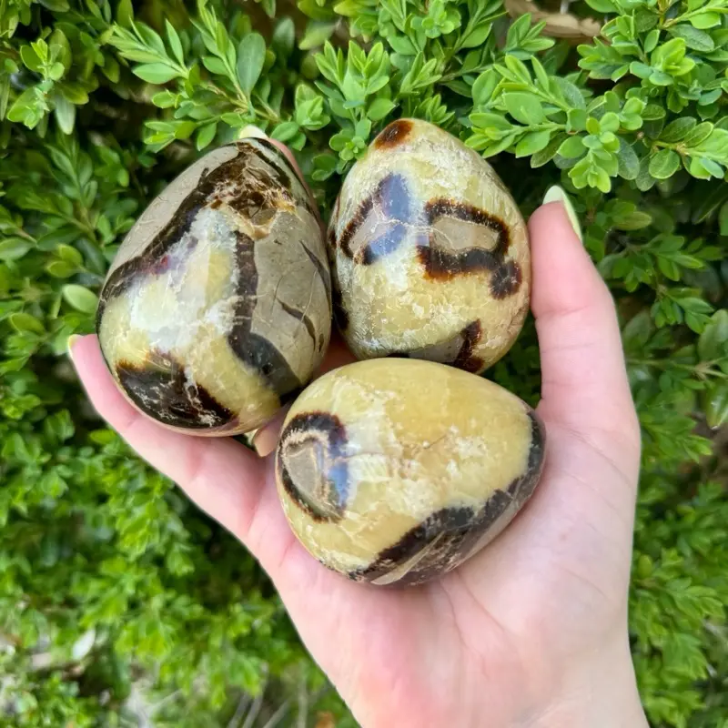 Septarian Dragon Egg| Choose Your Own Egg