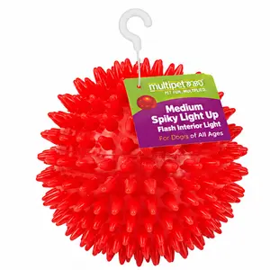 Gnawsome™ 3.5” Spiky Squeak & Light Ball Dog Toy