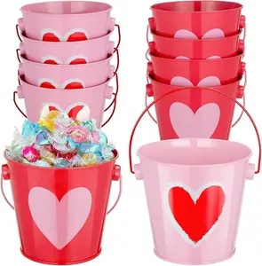 8 Pcs Valentine's Day Metal Bucket Bulk Pink Red Heart Bucket with Handle 4 x 4.25 Inch Cute Small Pail Pencil Holder Decorative Tin Cans for Candy Chocolate Flower Wedding Holiday Party Event