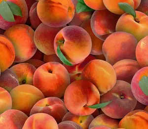 Realistic Fruit & Vegetable Fabric Charm Squares, Different 5" Squares fabric, Quilt Fabric, 100 %Cotton