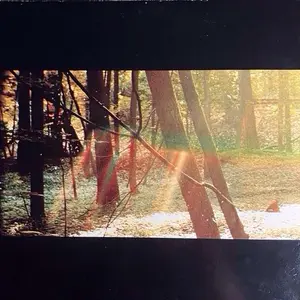 Camp- Childish Gambino Vinyl LP Record