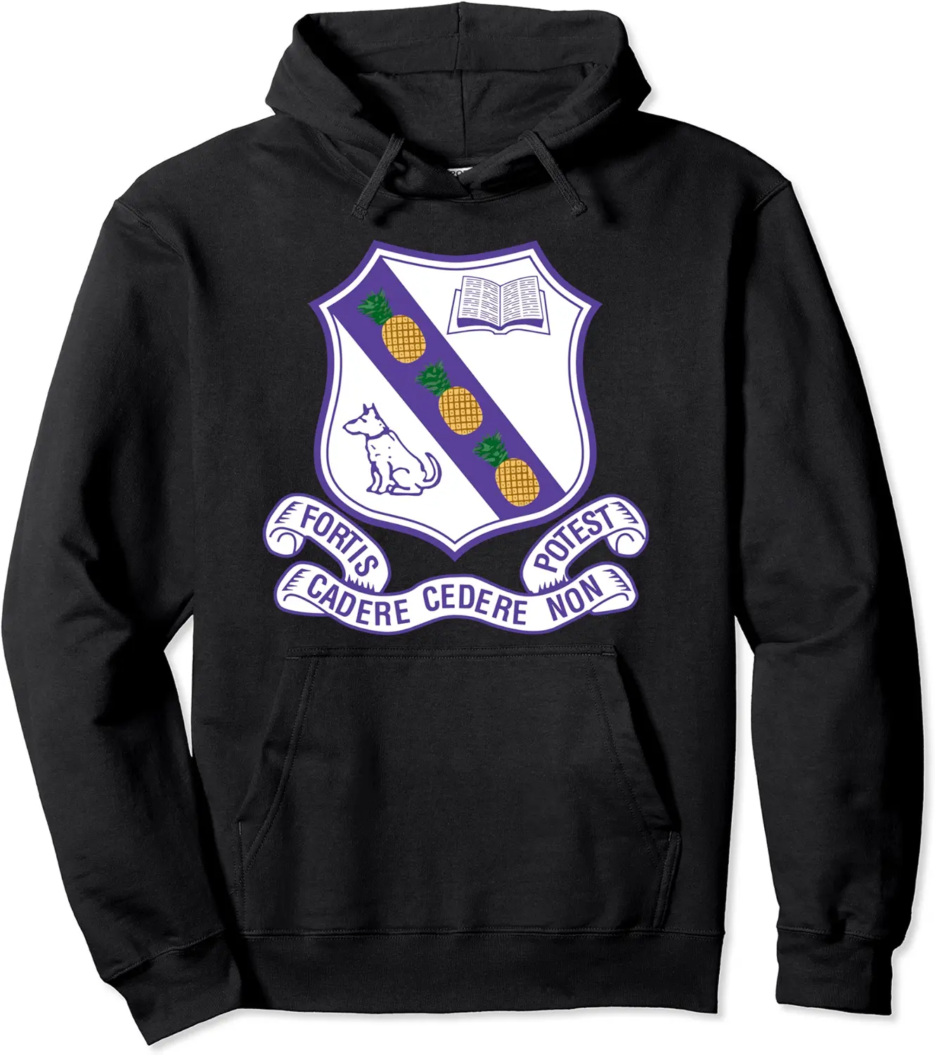 Kingston College Fortis Forever Pocket Logo Pullover Hoodie - Mohamedab Shop 72B0CK4W3X7K