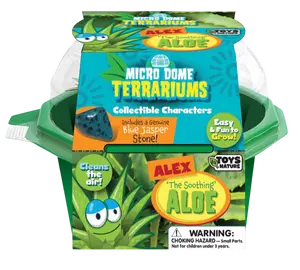 Alex 'The Soothing' Aloe Micro Dome Terrarium