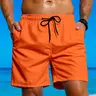 Men's Quick‑Dry Summer Swim Trunks with Mesh Lining, 2 Colors Available Swimming Trunks