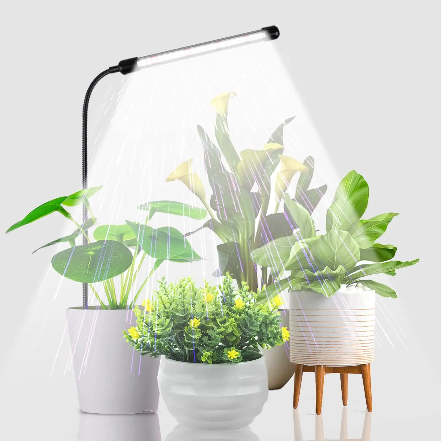 Grow Light for Indoor  Growing, 6000K Full Spectrum Gooseneck  Lamp for Seedings  Small , Auto On/Off Timing & 5 Dimming, 1-Pack
