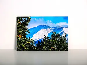 Small Metal Prints