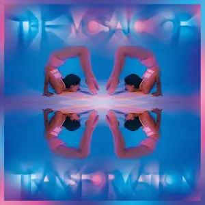 Kaitlyn Aurelia Smith - The Mosaic Of Transformation  [COMPACT DISC - CD]