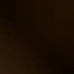 review image 5