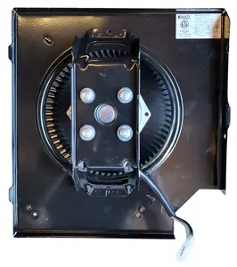 Replacement Fan Motor with Blower Assembly (For Model SE)