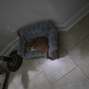 review image 7