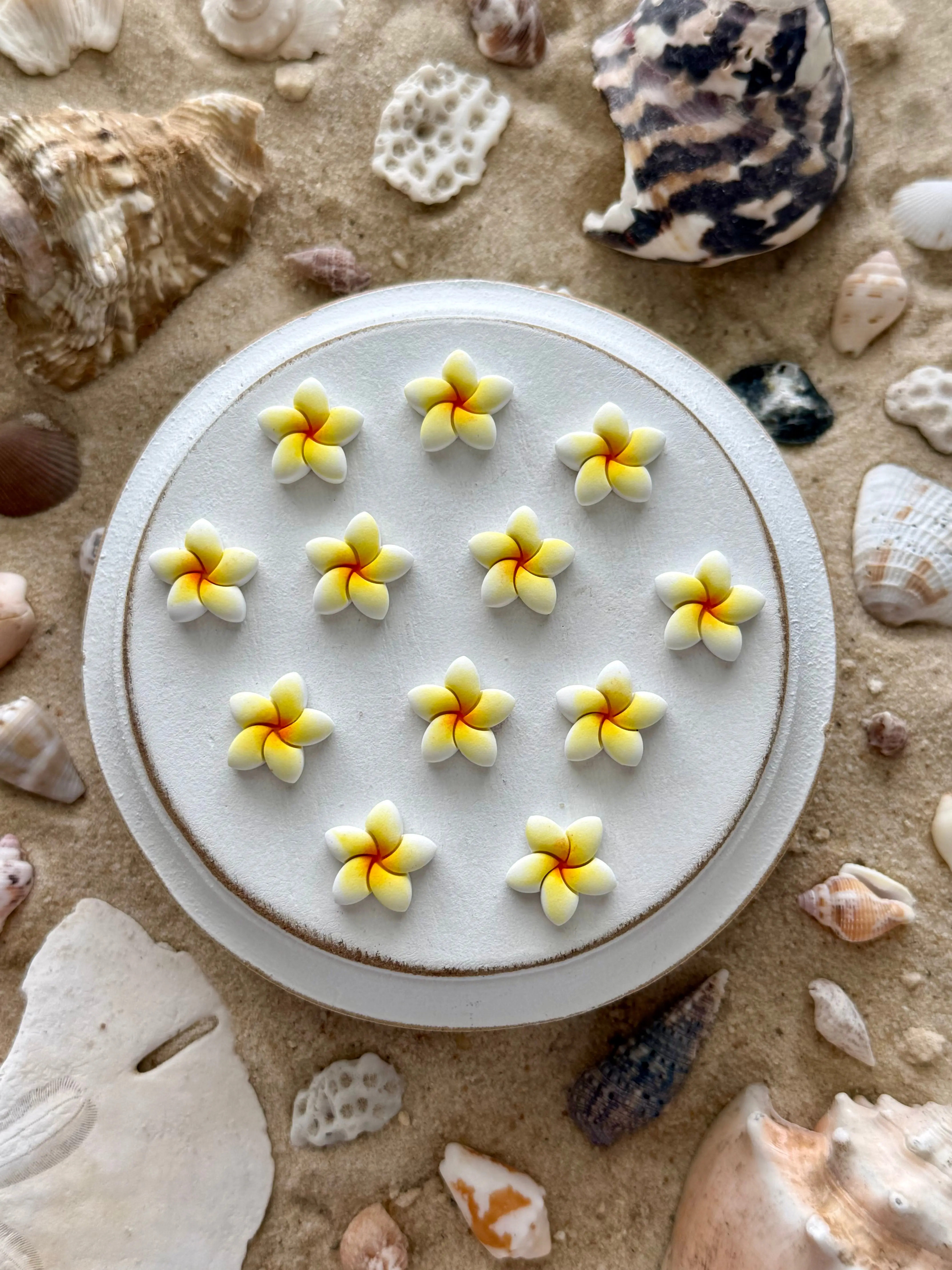 Plumeria Studs