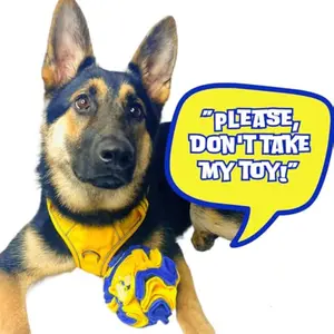 Interactive Foraging Dog Snuffle Ball Puzzle Toy - Yellow And Blue