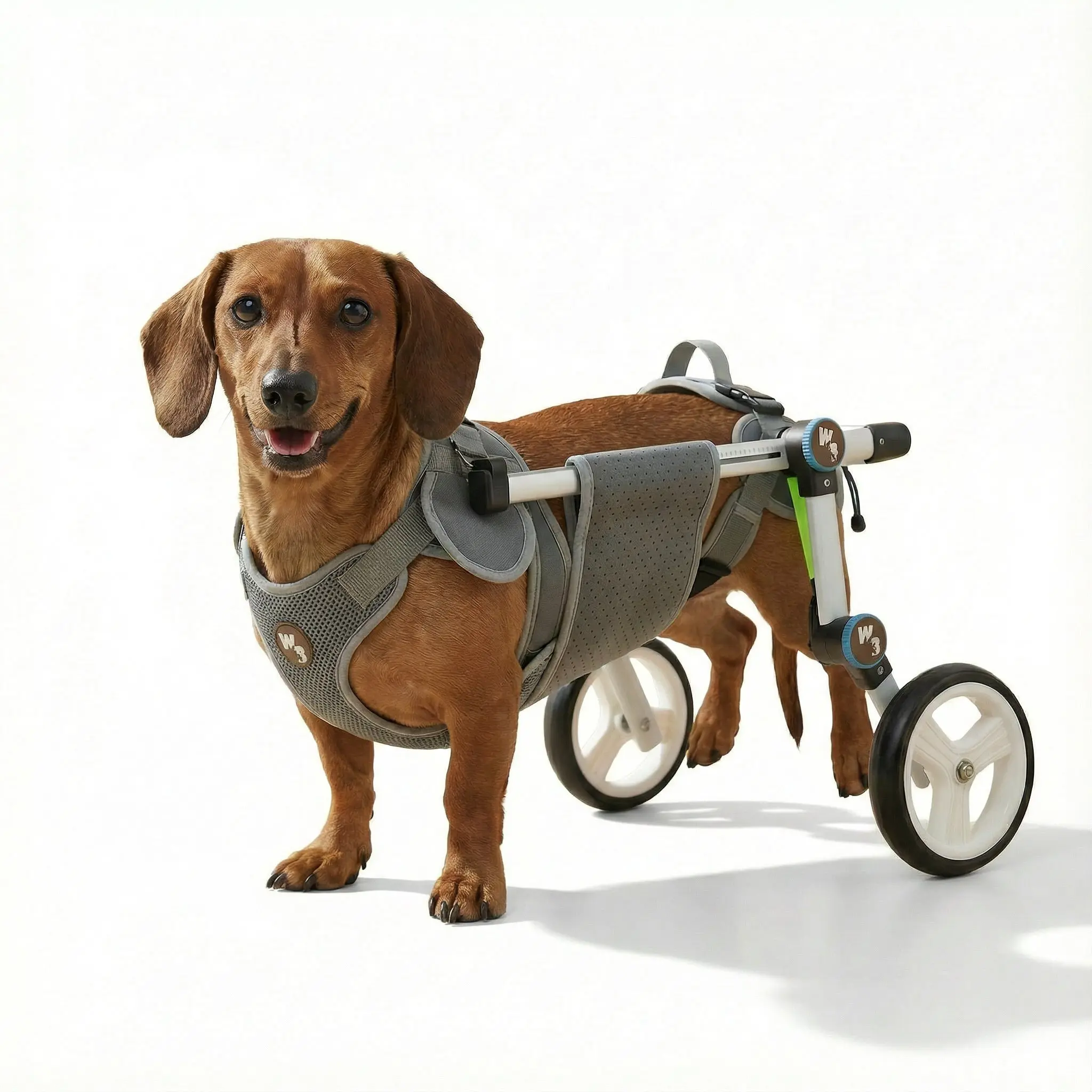 Adjustable Dog Wheelchair | Pet Assistance Walking Wheels