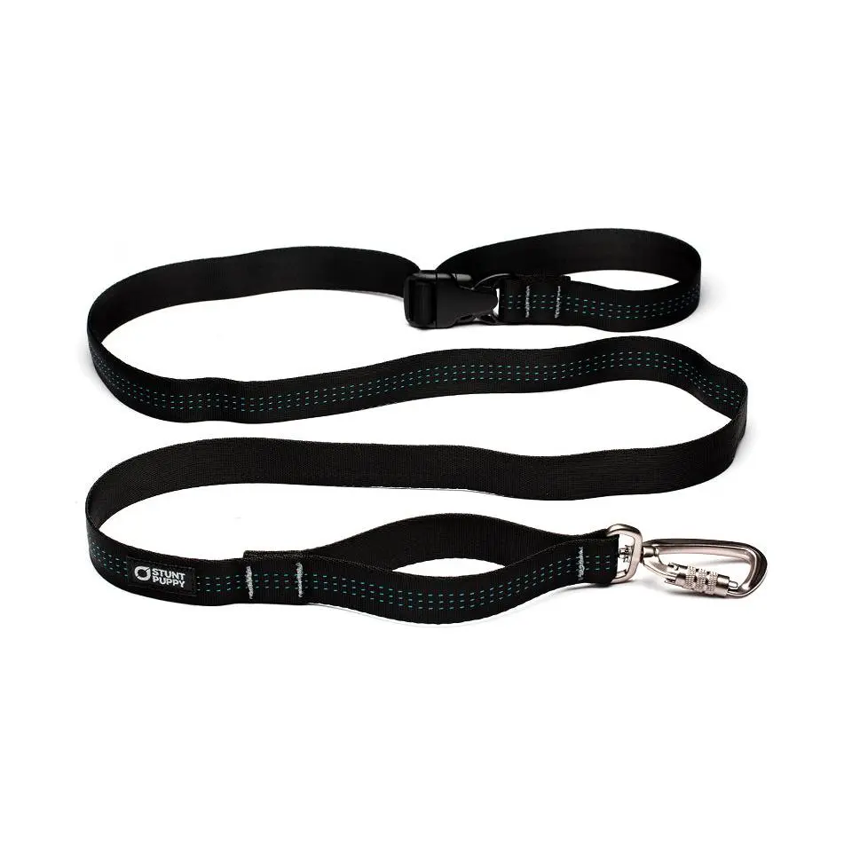 Classic Everyday Leash™