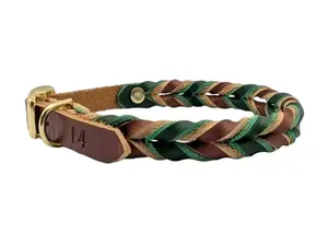 Braided Leather Buckle Collar