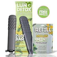 Mullein Mint Puff Bar + 1 Refill