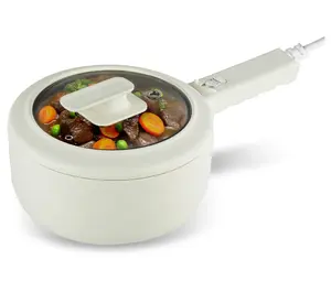 Pot 1.5qt Nonstick Mini Cooker with Lid