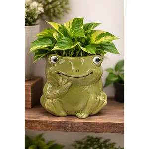 Green Frog Planter Pot - Green Decorative Pot with Frog Design, Cute Character Style, Ideal for Home Decor