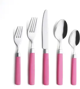 ANNOVA 20 Pieces Stainless Steel Flatware/Cutlery Set - Color Handles - 4 x Dinner Forks, 4 x Salad Forks, 4 x Dinner Knives, 4 x Dinner Spoons, 4 x Dessert Spoons - Service for 4 (Pink, 20 Pieces)
