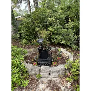 Garden Planter with Decorative Lights