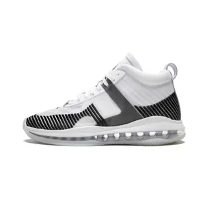 Lebron Icon QS "John Elliot" AQ0114 100