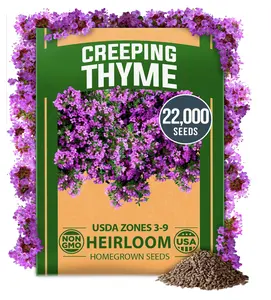 Homegrown Purple Creeping Thyme Seeds for Planting - 22000+ Non-GMO Perennial Ground Cover Seeds - Fragrant Edible Herb Flowers - Heirloom Thymus Serpyllum for Paths & Lawns 3g