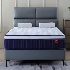 Mattress 10/12 Inch Twin XL/Full/Queen/King Size Mattresses Hybrid Innerspring Mattress in a Box, Memory Foam Spring Mattress with Motion Isolation & Pressure Relief, Medium Soft, White+Blue/Antique Brown+White