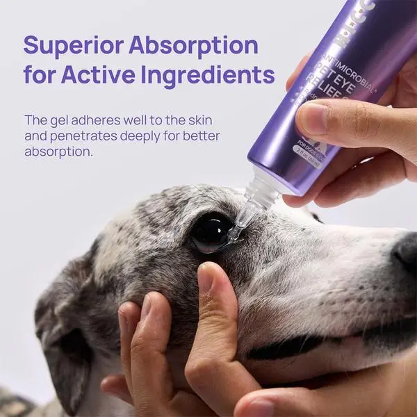 Dog Eye Gel, Vet-Recommended Dog Eye Infection Treatment, Cat Eye Drops Wash, Soothes Irritation, Moisturizes Dry Eyes, Pet Eye Drops Ointment Alternative for Dogs, Cats, Horses. 2 fl oz - TikTok Shop Dog Eye Gel, Vet-Recommended Dog Eye Infection Treatment, Cat Eye Drops Wash, Soothes Irritation, Moisturizes Dry Eyes, Pet Eye Drops Ointment Alternative for Dogs, Cats, Horses. 2 fl oz - TikTok Shop