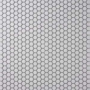 Simple White 1" Hexagon Ceramic Mosaic Matte