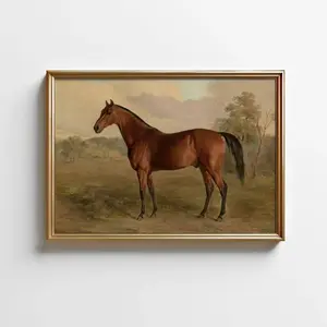 Vintage Horse Print: Farmhouse Wall Art J