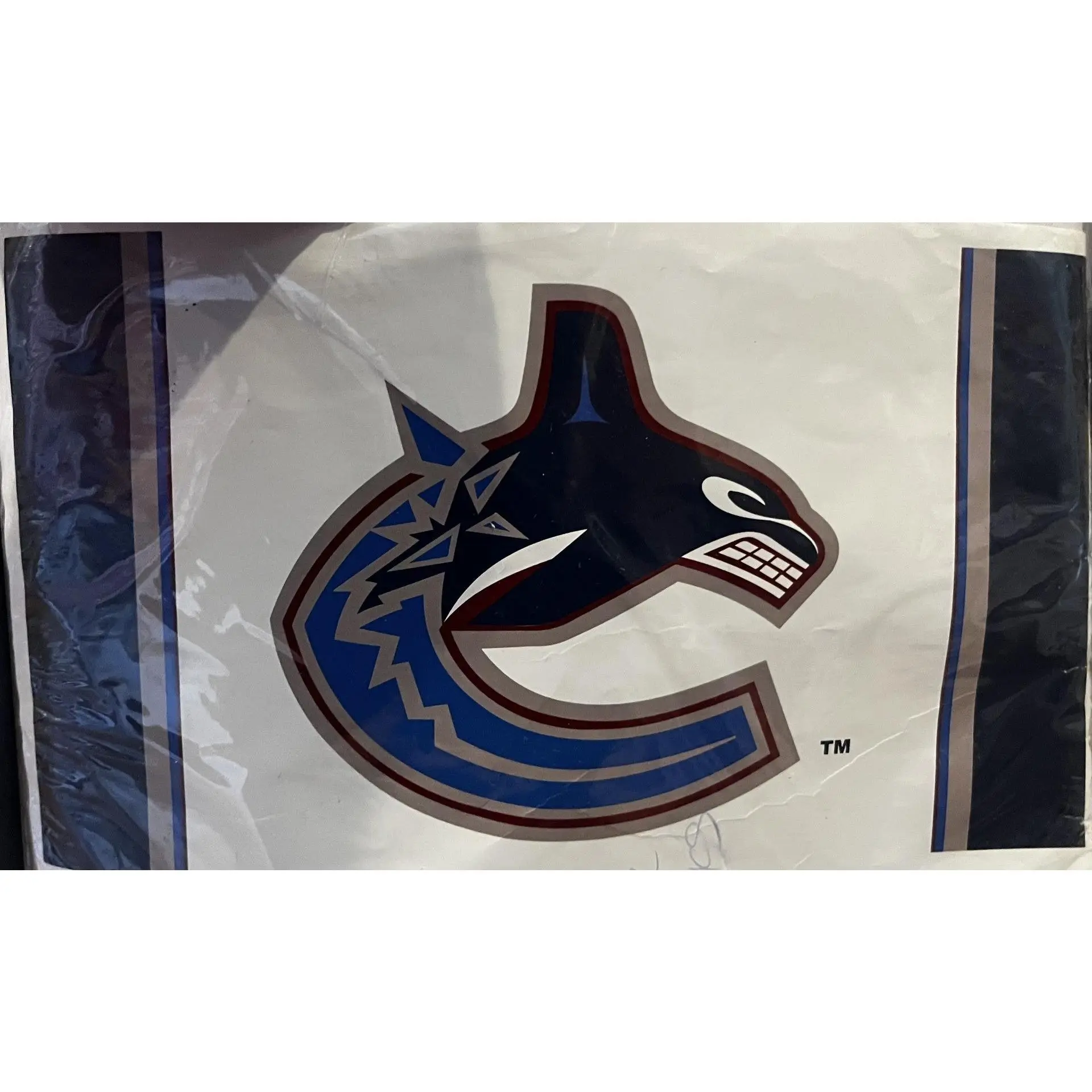Vancouver Canucks 3x5' Hockey Flag Official Team Logo Sports Banner