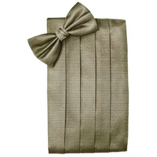 Champagne Herringbone Cummerbund and Bow Tie Set