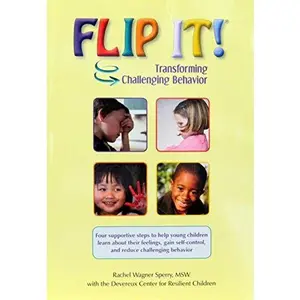 USED-Flip It: Transforming Challenging Behavior by Rachel Wagner Sperry (Unknown)