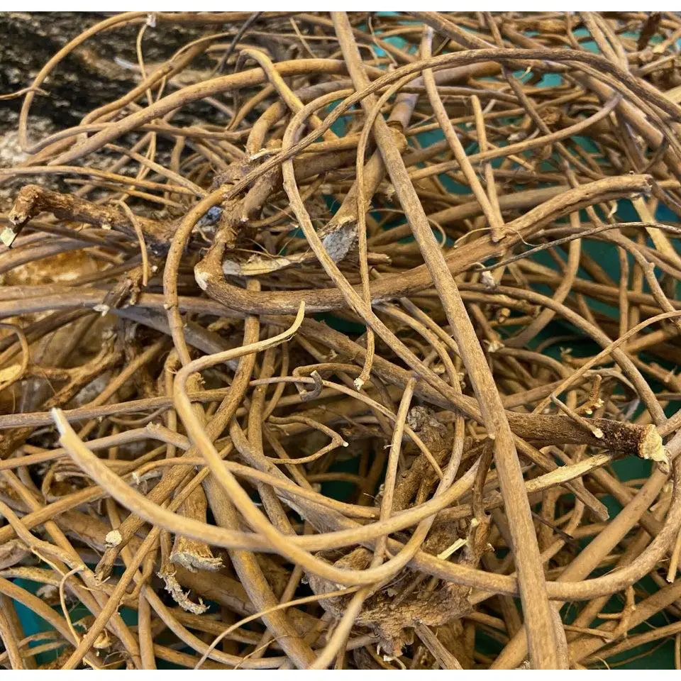 Alkaline Devil’s Shoestring | Tephrosia Virginiana
