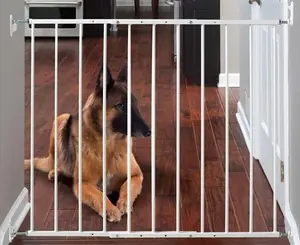 31 in. Wall Mounted Gate