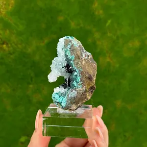 Clinoatacamite with Quartz and Chrysocolla from Lily Mine, Peru.