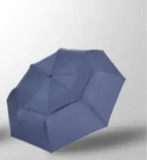 Large Automatic Umbrella for Three People